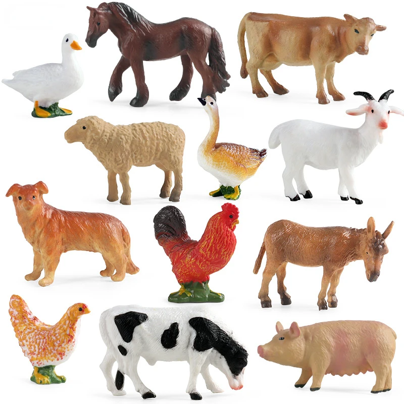 Education Teaching Tool Poultr - đánh giá và giá Science Toy