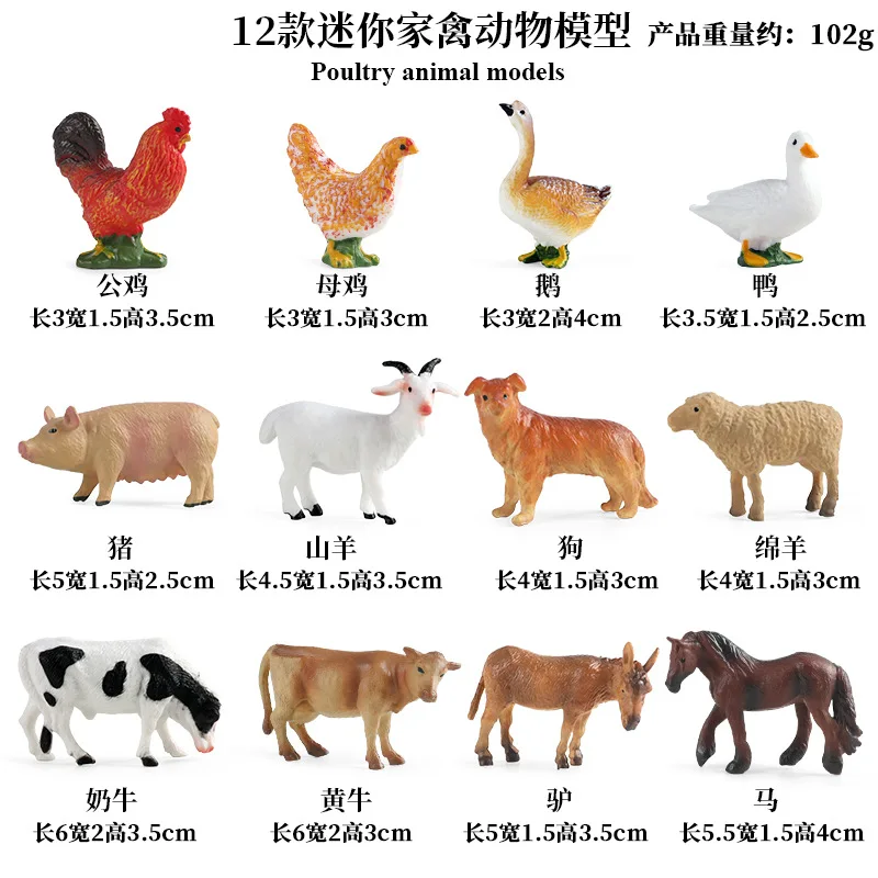 Education Teaching Tool Poultr - đánh giá và giá Science Toy